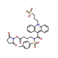 CAS:199293-83-9|NSP-SA-NHS