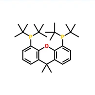 CAS: 856405-77-1|9,9-Dimetil-4,5-bis(di-terc-butilfosfino)xanteno
